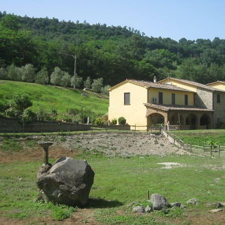 Alloggio Turistico Mooneyes Apartment Castiglione In Teverina Luaran gambar