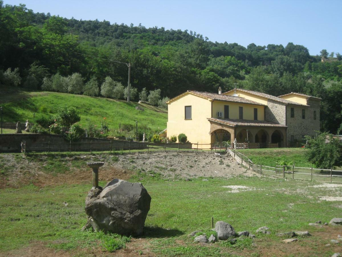 Alloggio Turistico Mooneyes Apartment Castiglione In Teverina Luaran gambar