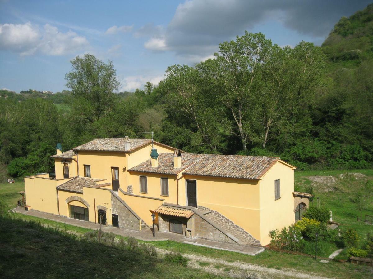 Alloggio Turistico Mooneyes Apartment Castiglione In Teverina Luaran gambar