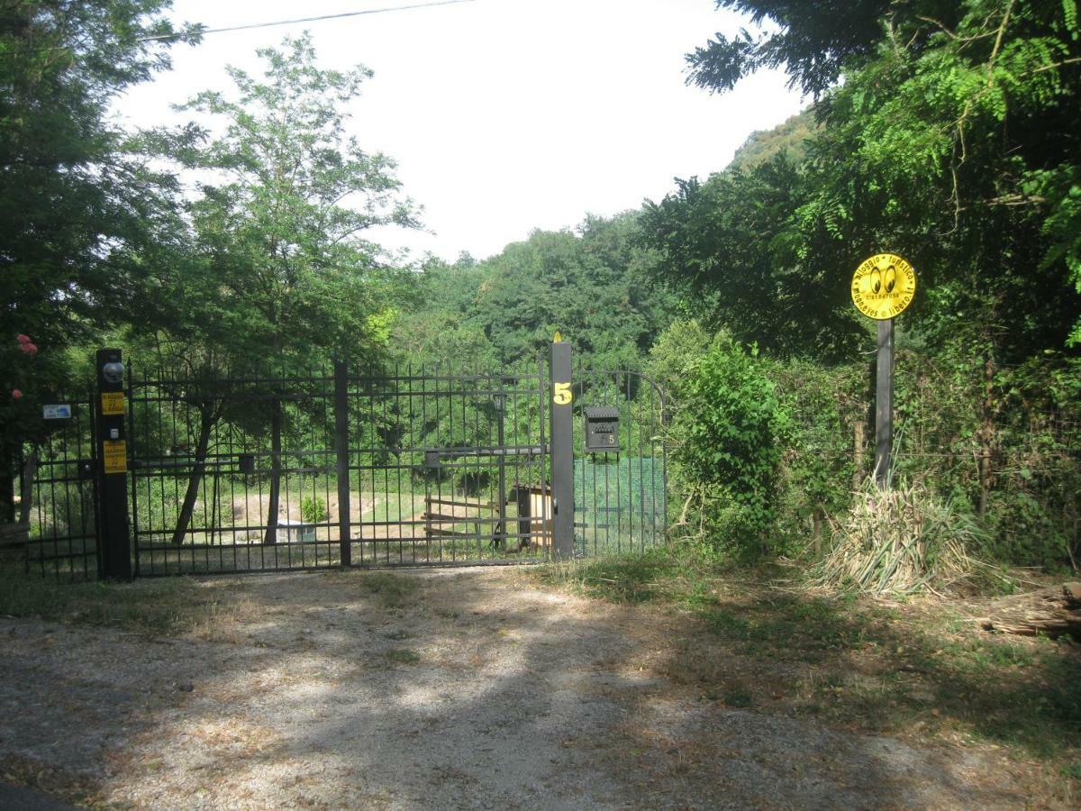 Alloggio Turistico Mooneyes Apartment Castiglione In Teverina Luaran gambar
